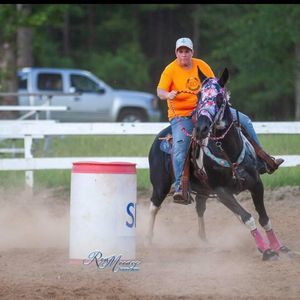 Meet your Posher, Robin